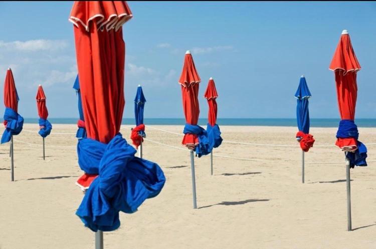 Studio Piscine Honfleur Deauville Équemauville Zewnętrze zdjęcie